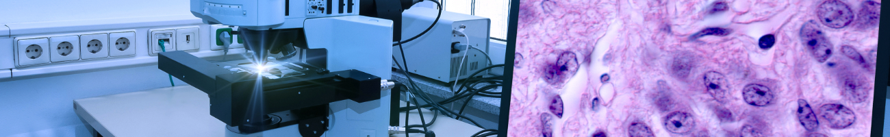 Discoveries in Pathology Research Reviews and Reports